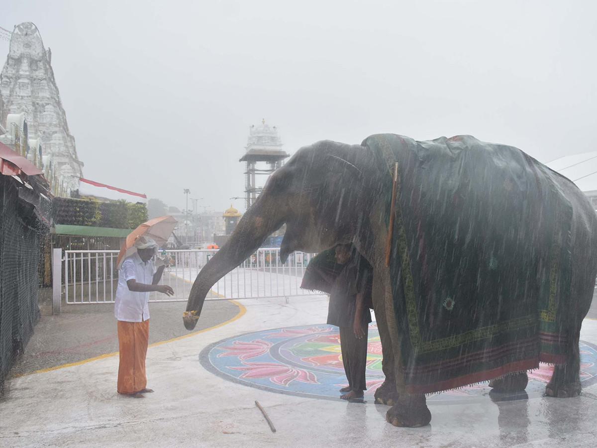 Heavy_20rain_20in_20tirumala_20today_20photos_8.jpg 8