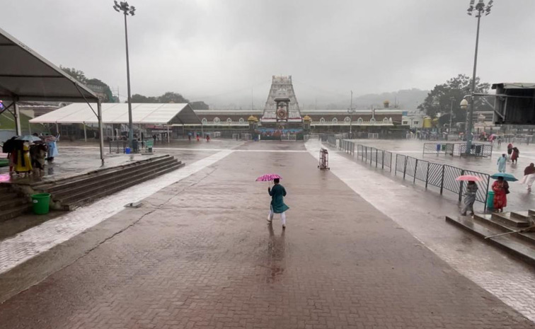 Rain.jpg