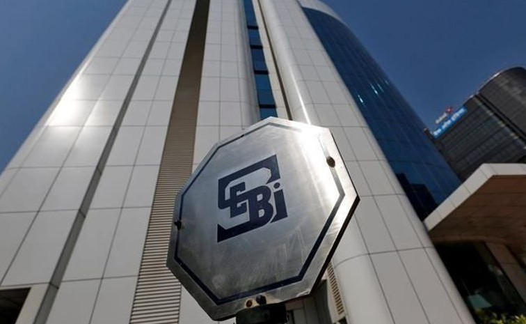sebi.jpg