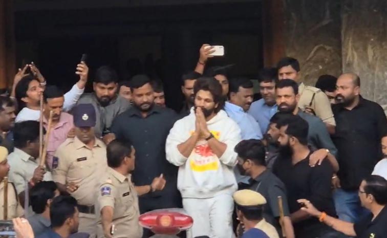 Allu_Arjun_Sections.jpg
