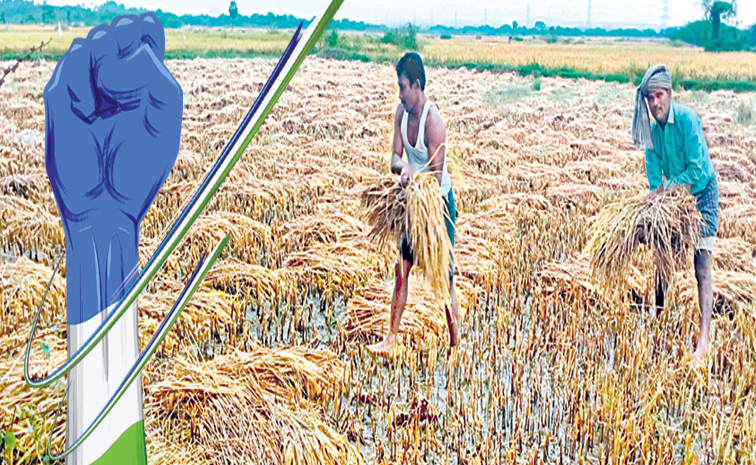 FARMERS-11.jpg