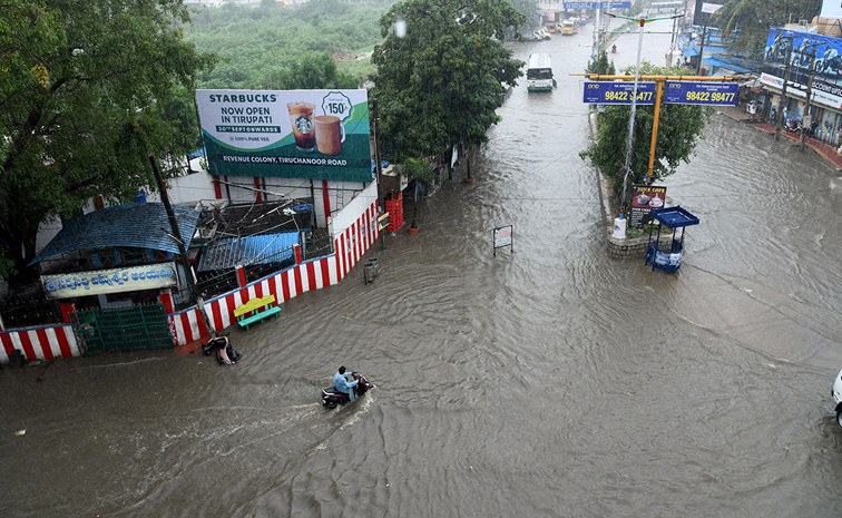 Rains.jpg