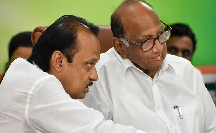 Sharad_20Pawar-Ajit_20Pawarmeet.jpg