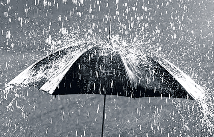 rains.jpg