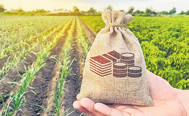AGRICULTURE-LOANS.jpg