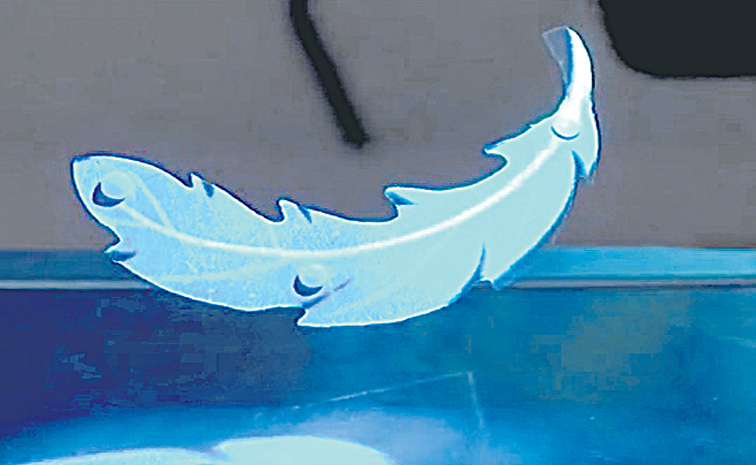 LEVITATE.jpg