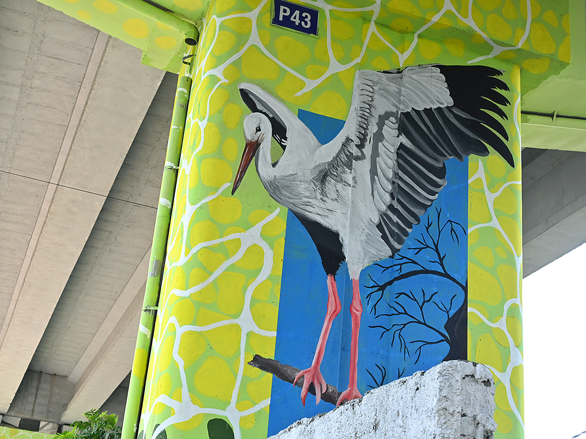 Beautification_20drive_20GHMC_20to_20add_20a_20dash_20of_20art_20to_20flyovers__20_2810_29.jpg 10