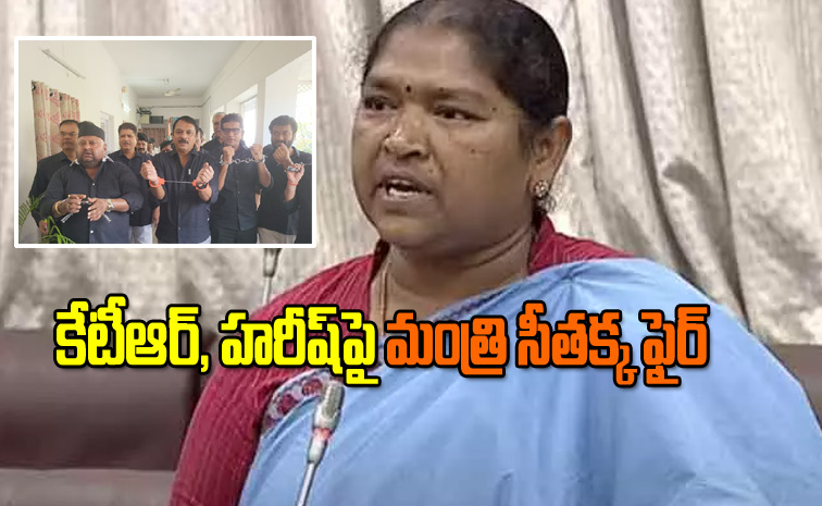 Seethakka1.jpg