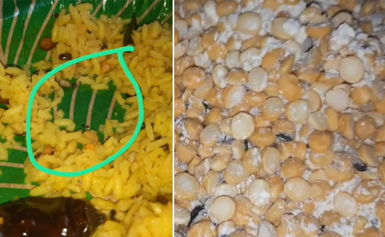 Worms-Found-In-Prasadam.jpg