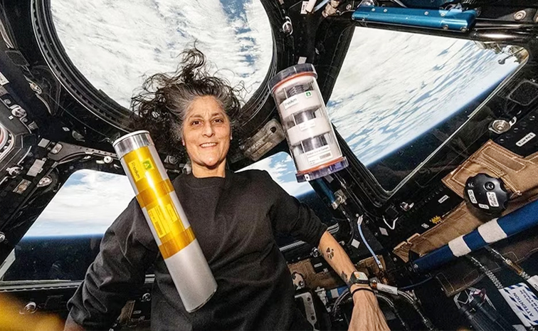 sunita_20williams.jpg