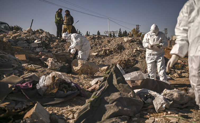 siria.jpg