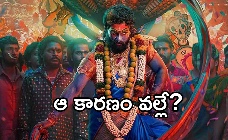 Pushpa-2_Allu-Arjun_.jpg