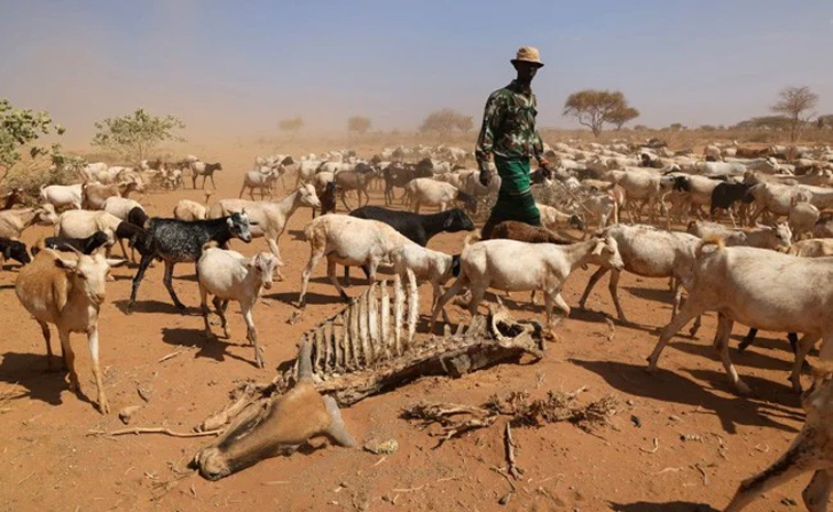 kenya.jpg