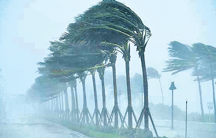 rains.jpg