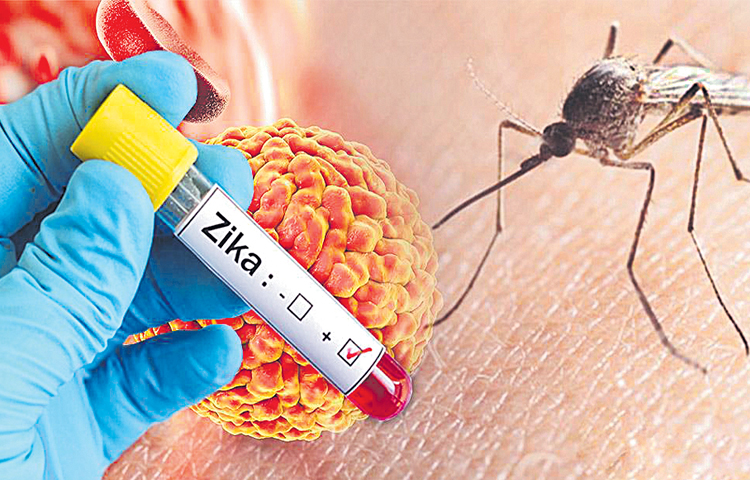zika.jpg