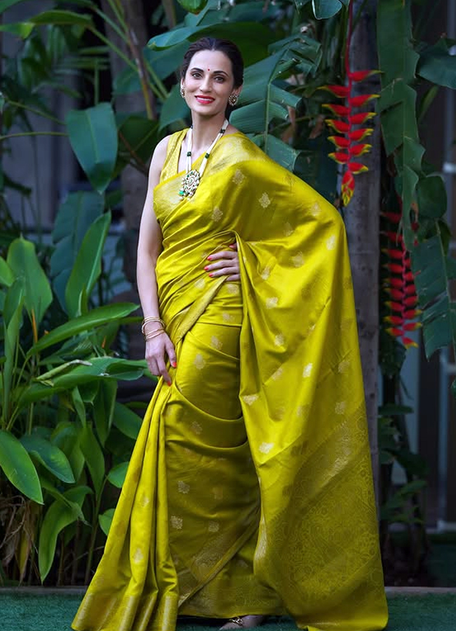 Actress_20in_20Saree3.jpg 4