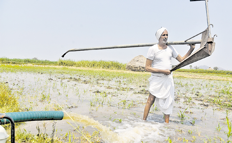 farmer-4.jpg