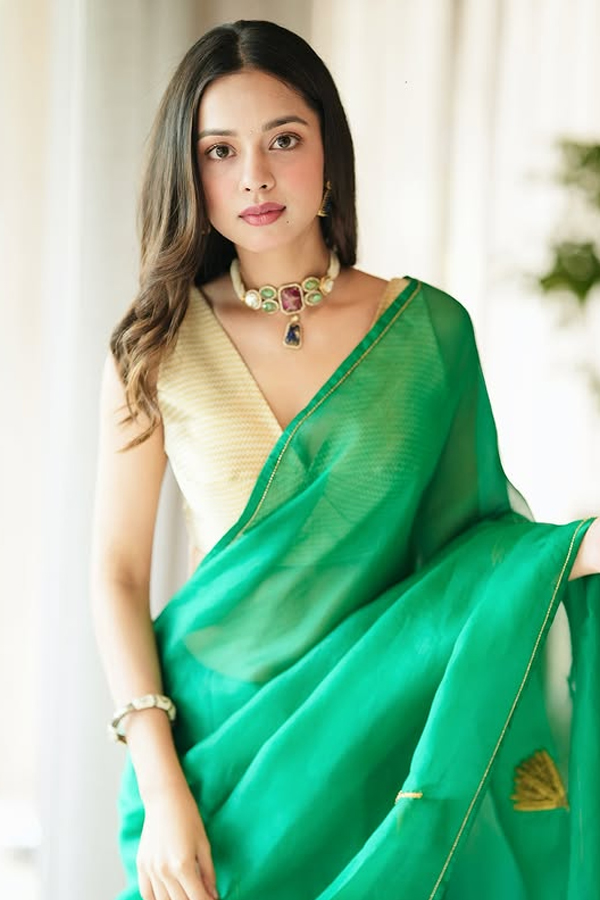 nitanshigoel-1.jpg 22