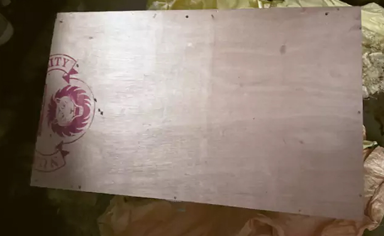 Parcel_Deadbody_Case.jpg
