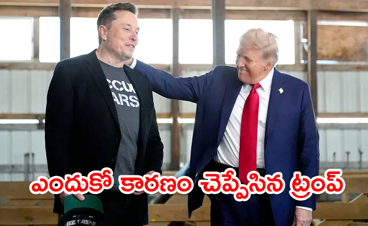 donald-trump-and-elon-musk.jpg