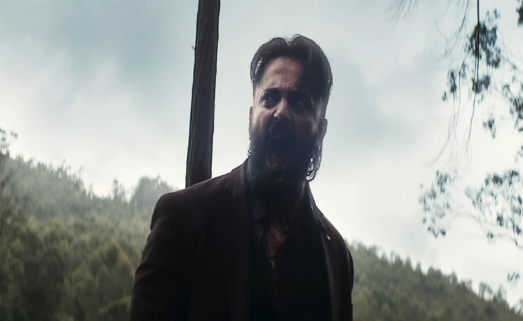 marco.jpg