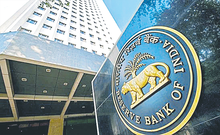 rbi01.jpg