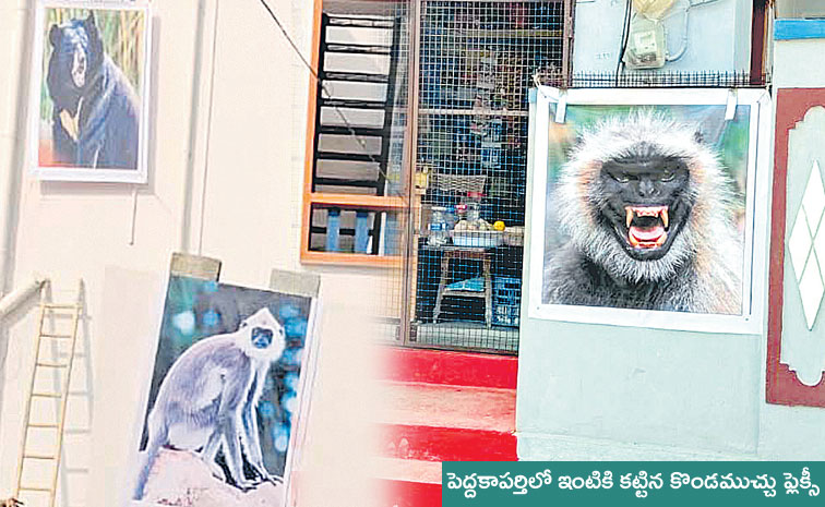 Monkey_Photo.jpg