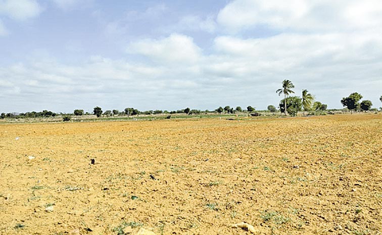 OPEN-LAND-5.jpg