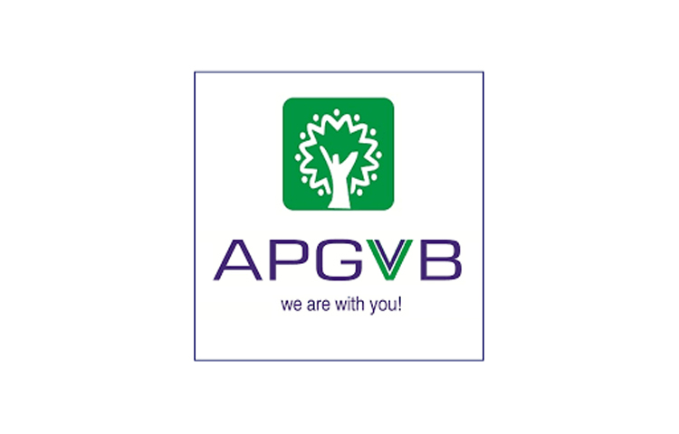 apgvb.jpg