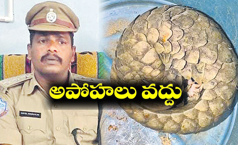 pangolin-eturnagaram.jpg