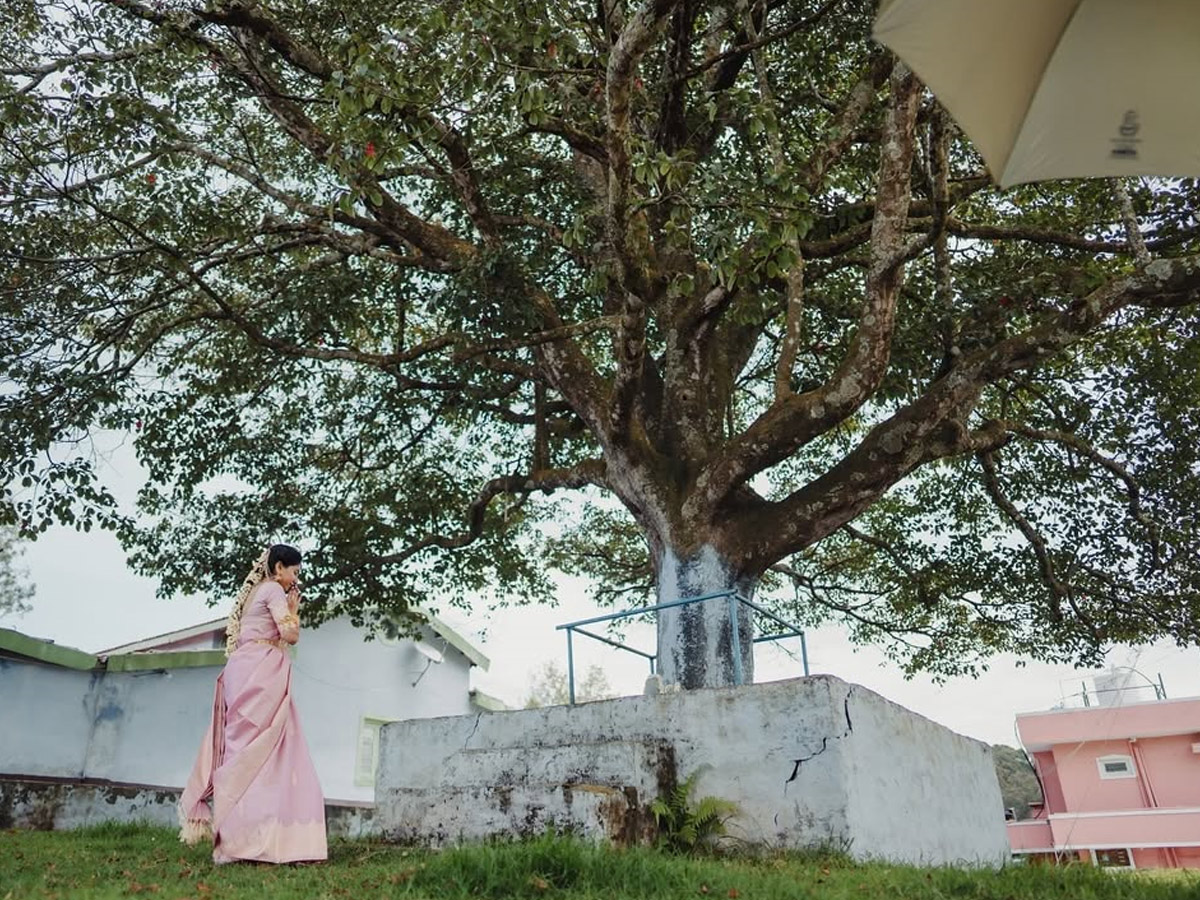 Actress_20Sai_20Pallavi_20Shares_20Emotional_20Post_20on_20Social_20media_20photos_20_2826_29.jpg 27