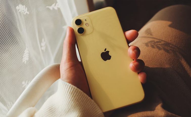 apple01.jpg