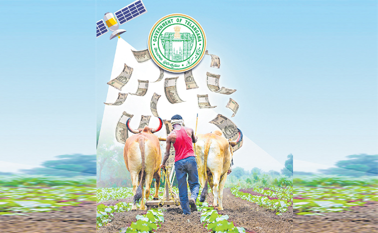 farmer.jpg