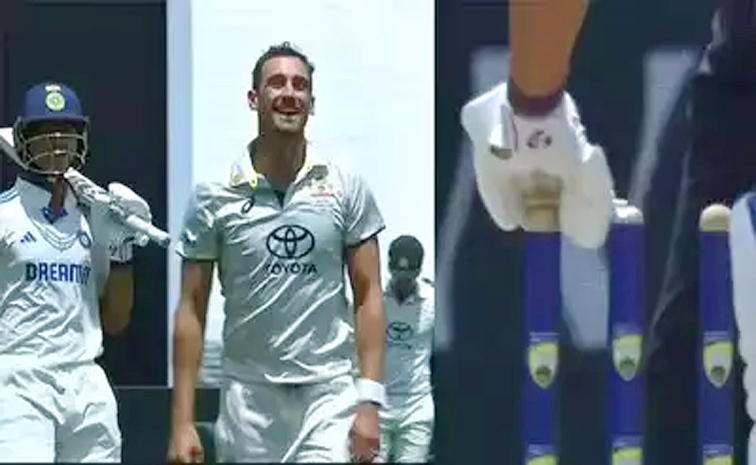 starc.jpg