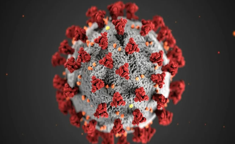 Norovirus.jpg