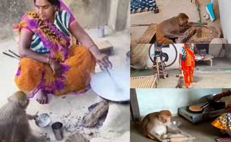 Upmonkey_moneyrani.jpg