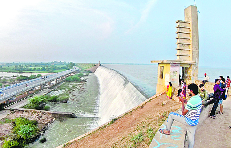 dindii.jpg