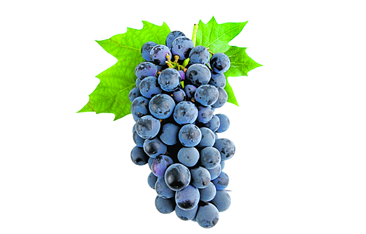 grape.jpg
