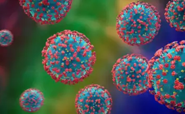 MHPV_20virus.jpg