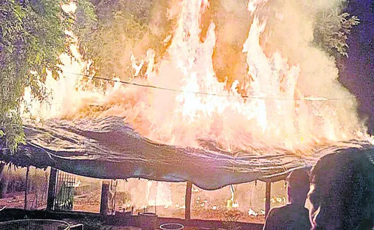firecrackers.jpg