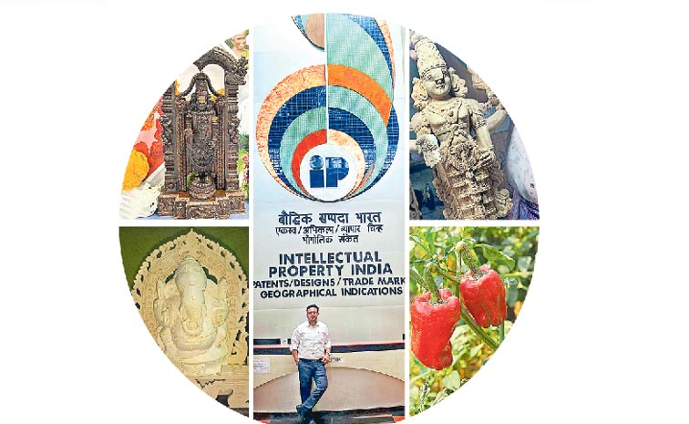 GI-PAGE-2.jpg