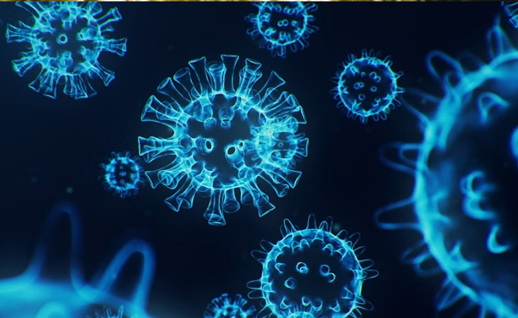 HMPV_20virus.jpg