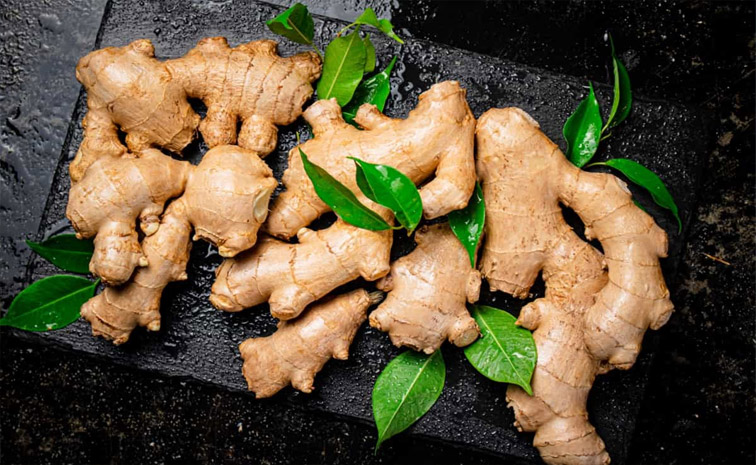 ginger.jpg