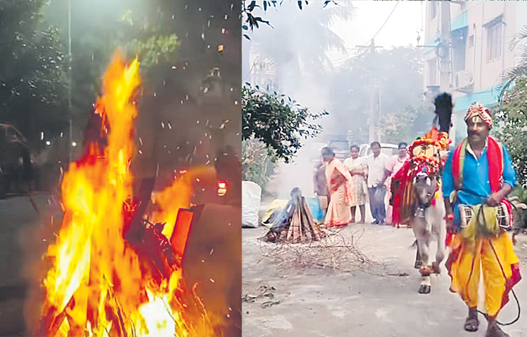 sankranthi.jpg