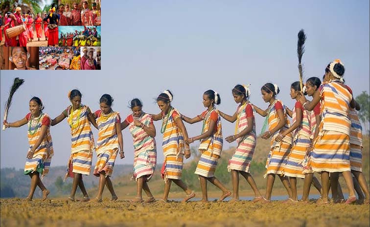 tribal_5D.jpg