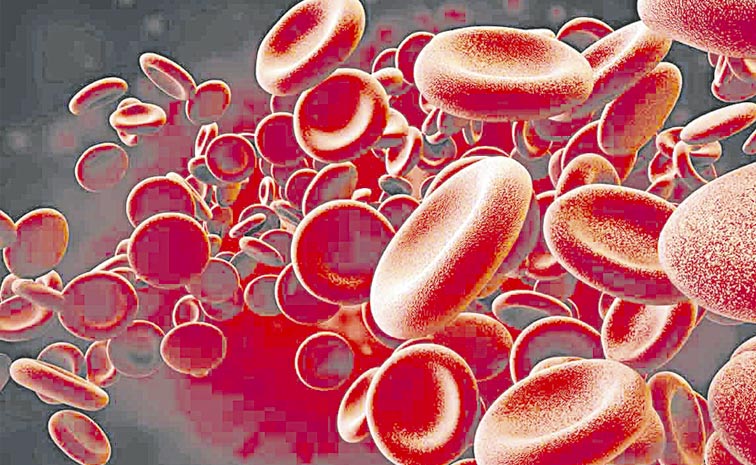 RED-BLOOD-CELLS.jpg
