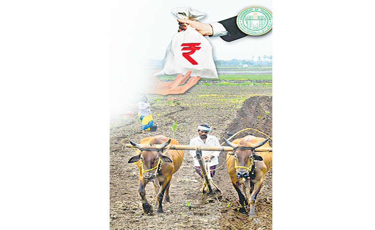 agri.jpg