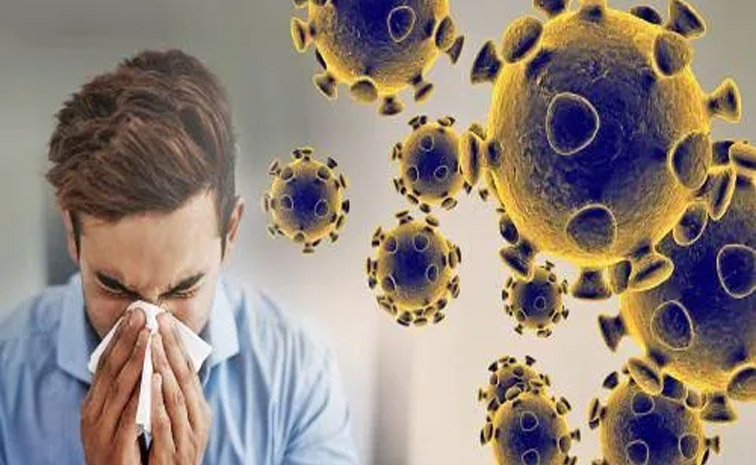 virus-main.jpg
