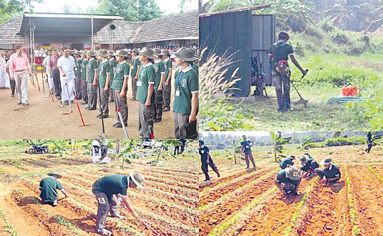 Agri1.jpg
