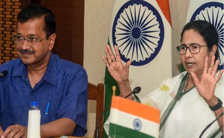 aaptmc.jpg